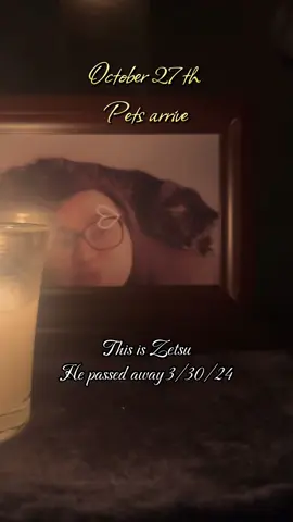 We miss you everyday, fat boy 💚 