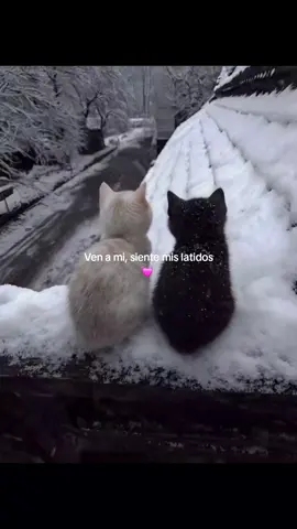 #paratiiiiiiiiiiiiiiiiiiiiiiiiiiiiiii 