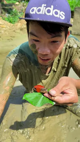 #xuhuong #mukbang #xuhuongtiktok #viral 