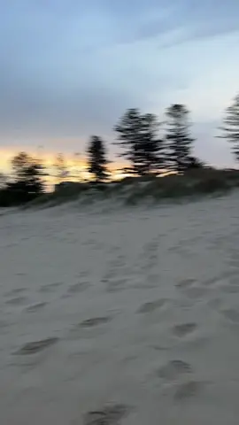 this sound has a chokehold on me