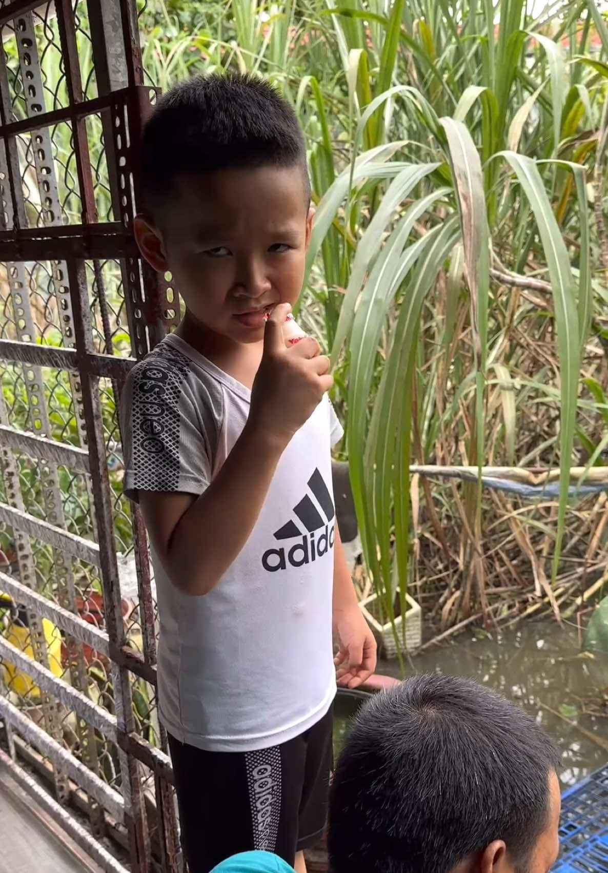 Phía sau lời cảm ơn#xuhuongtiktok#xuhuong#funnytiktok#giaitri 