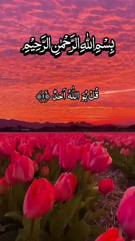 #tilawat #quran #viral #Video #foryou 
