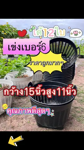 มาสั่งเข่งไปปลูกผักกันค่ะ#เข่งเบอร์6#เข่งราคาถูก#เข่งคุณภาพดี#เข่งปลูกผัก