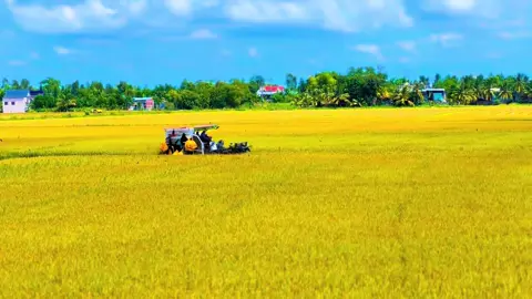 muốn bình yên thì về Tây ninh với em🤣#62c1 #62 #xuhuonggggggggggggggggg 