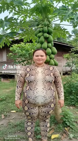 adakah keranjang kuningnya kaka di indo pasti banyak yang chekout ,,,🥺🥺#ularbesar #bajuular #thailand🇹🇭 