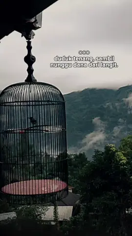 sing asoy wae #persatuansogonindonesia  #CapCut  #sogonmateri  #sogongacor  #fyp 