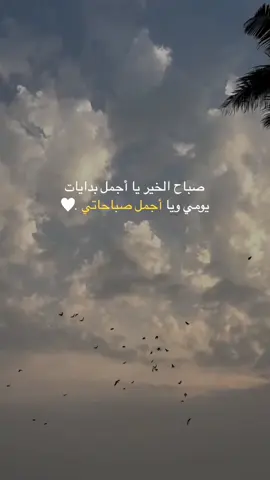 انت صباحي#شروحات #حب #خواطر #اقتباسات 