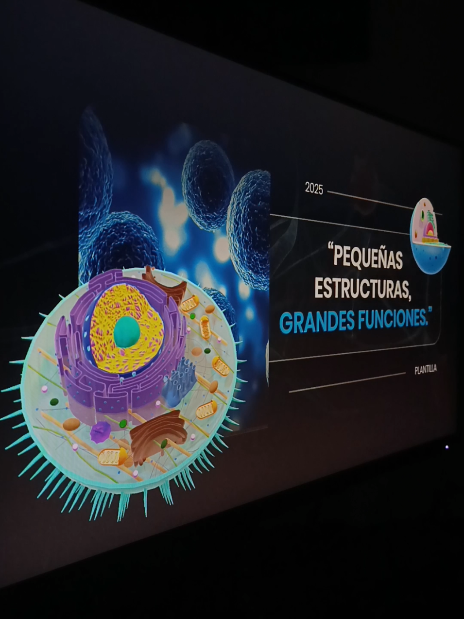 CURSO Y PLANTILLAS EDITABLES IN BIO 🔥  #powerpointpresentation #ppttemplate #template #creativemanager #powerpointtemplate 