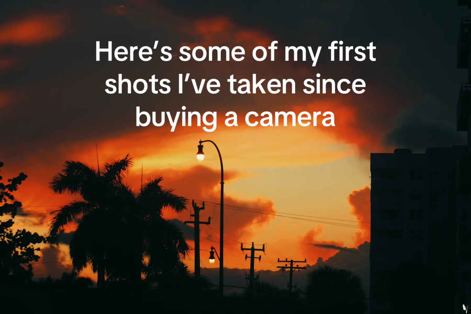 I like taking pictures of trees if you couldn’t tell #pictures #camera #photography #nature #artist