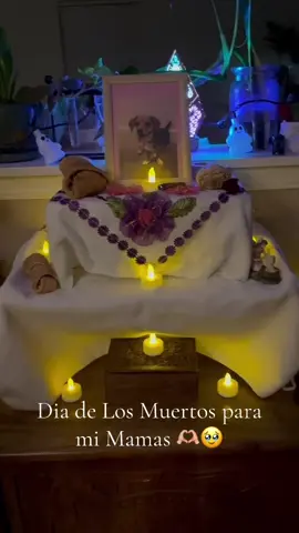 #diademuertos #miperrita #mamagirl #Mama #resteasyangel 