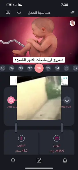 #explore #fyp #حوامل #حمل 