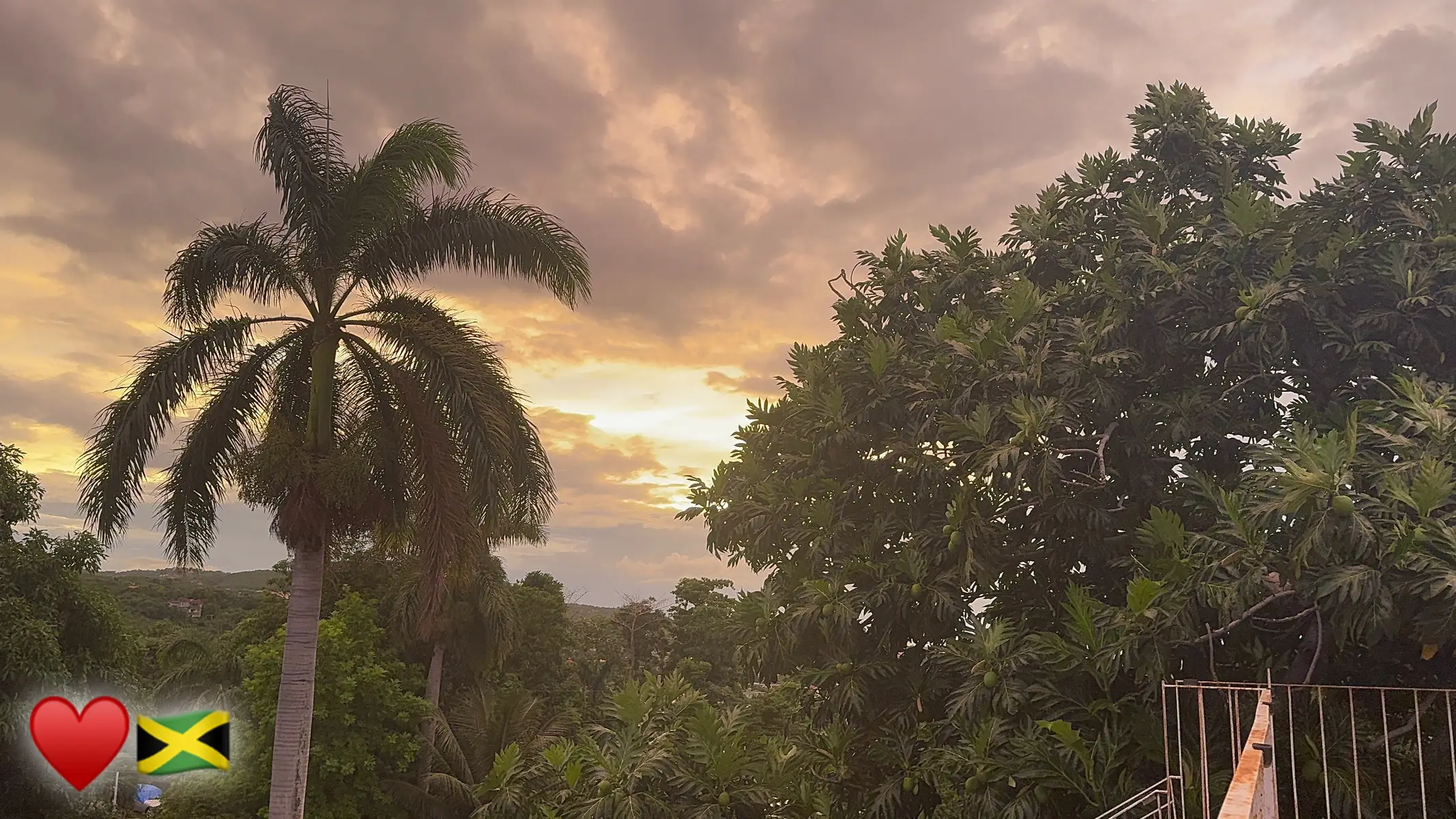 ♥️#jamaicatiktok #hurricanemelissa 