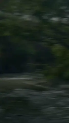 හ්ම් 🙂💐 #foryou #virale #onemillionaudition #trending #fypppppppppppppppppppppppppp 