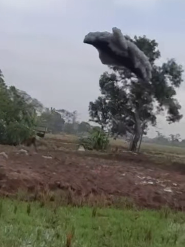 Kejadian langka bikin heboh warga Patokbeusi, Subang! Jumat, 24 Oktober lalu,vidio yang di unggah oleh akun rayya hawari ini,muncul benda aneh mirip awan atau busa raksasa melayang, bahkan sampai jatuh ke sawah. ​Cek detik-detik kemunculan benda misterius yang bentuknya unik banget ini. Warga sampai bingung, ini awan? Busa? Atau fenomena alam apa?? 🤔 ​Sumpah, ini bau banget! 🤢 Bahkan ada yang bilang bau ini bisa beracun. 😱 Tonton sampai habis buat lihat wujud busa yang bikin penasaran ini dari dekat! ​Gimana menurut kalian ini apa guys? Coba komen di bawah! 👇 source : rayya hawari​#AwanRaksasa #tiktokviral  #SubangViral #Patokbeusi #FenomenaAlam 