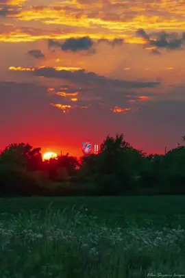 #bolivia🇧🇴 #folkloreboliviano #chacarera #folklore #traicionera 