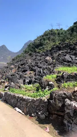 Cao nguyên đá #dongvan #hagiang #travel 