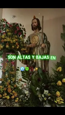 #sanjudastadeo💚 #28octubre #compartelo #💚💚💚 #sanjudastadeopatronodelascausasdificiles 