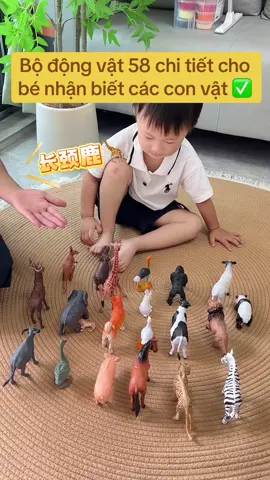 Bộ động vật 58 chi tiết #xuhuong #bodongvat58chitiet #viralvideo #fpyシ 