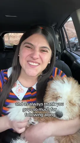 Let me know your costume recommendations for Mr. Noodle! 😊🐶 #minigoldendoodle #puppy 