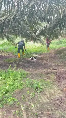 unik hiburannya 😄 #kebunsawit #sawit #sawitontiktok #sawitindonesia #petanisawit 