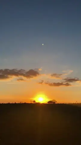 Ay de ti / Reyno #reyno #aydetireyno #tiktokviral #viralestiktok #EDrey 