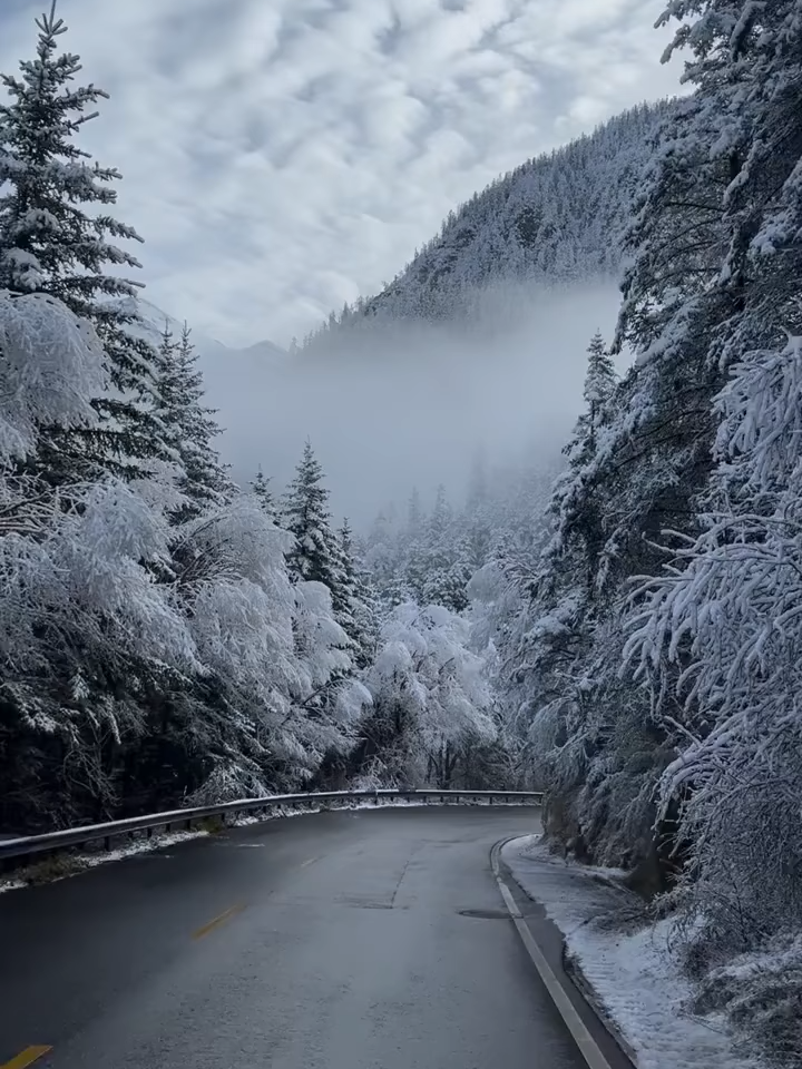 Thiên đường Cửu Trại Câu phủ đầy tuyết ❄️⛄️. Chỉ với 13.9.9.0K bạn có ngay cơ hội chạm tay vào thiên đường tuyết Cửu Trại Câu ❄️ Mr Trường : 0974266682 #jiuzhaigou #cuutraicau #sichuan #chengdu #thanhdo #hichina #chinatrip #phuonghoangtour #dulichphuonghoang