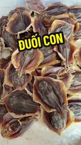 Khô cá đuối nguyên con vị lạt #caduoi #duoilat #thuhaifreeship #muataitiktokshop #antamvuisam 