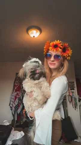 hippie vibes #fypofficial #hippievibes #halloween #dogsoftiktok 