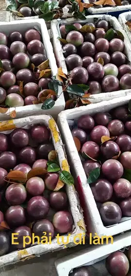 E phải tự đi làm....