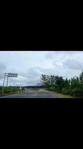 đường đôi Đăk Tô, đẹp quá 🥰 #dakto #kontum #quangngai76 #canhdep #taynguyen 