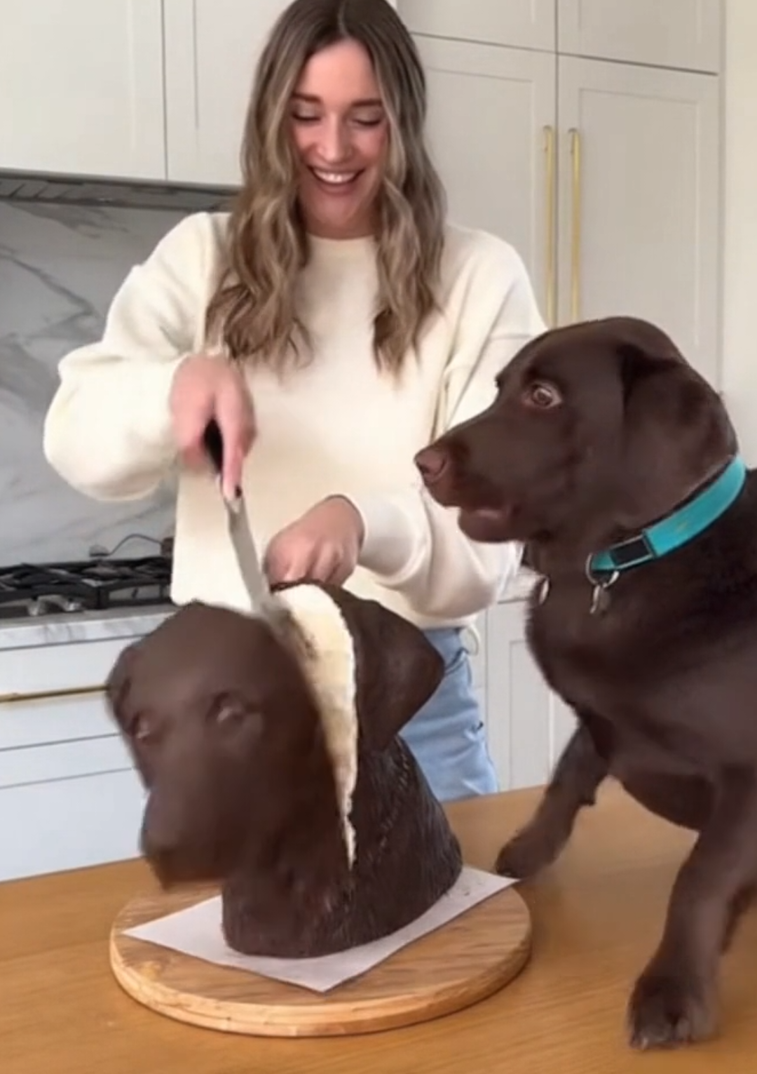 Dog vs Cake Prank! 🐶😂 You Won’t Believe His Reaction!