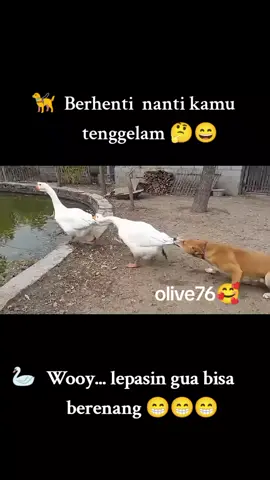 assalamu'alaikum wr wb guyon pagi luuur 😁😄😄😃🤣#fyppppppppppppppppppppppppppppppppppp 