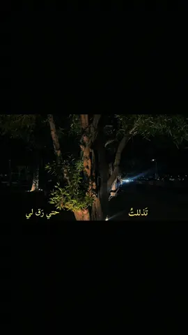 حَبيبي علي الدُنيا                                                            #اكسبلور #fyp 