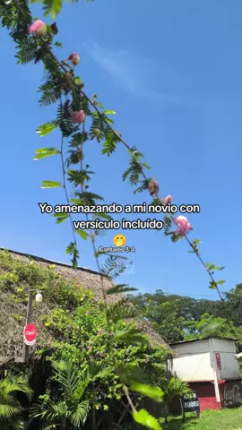 #hagamosviralajesus #fyp 