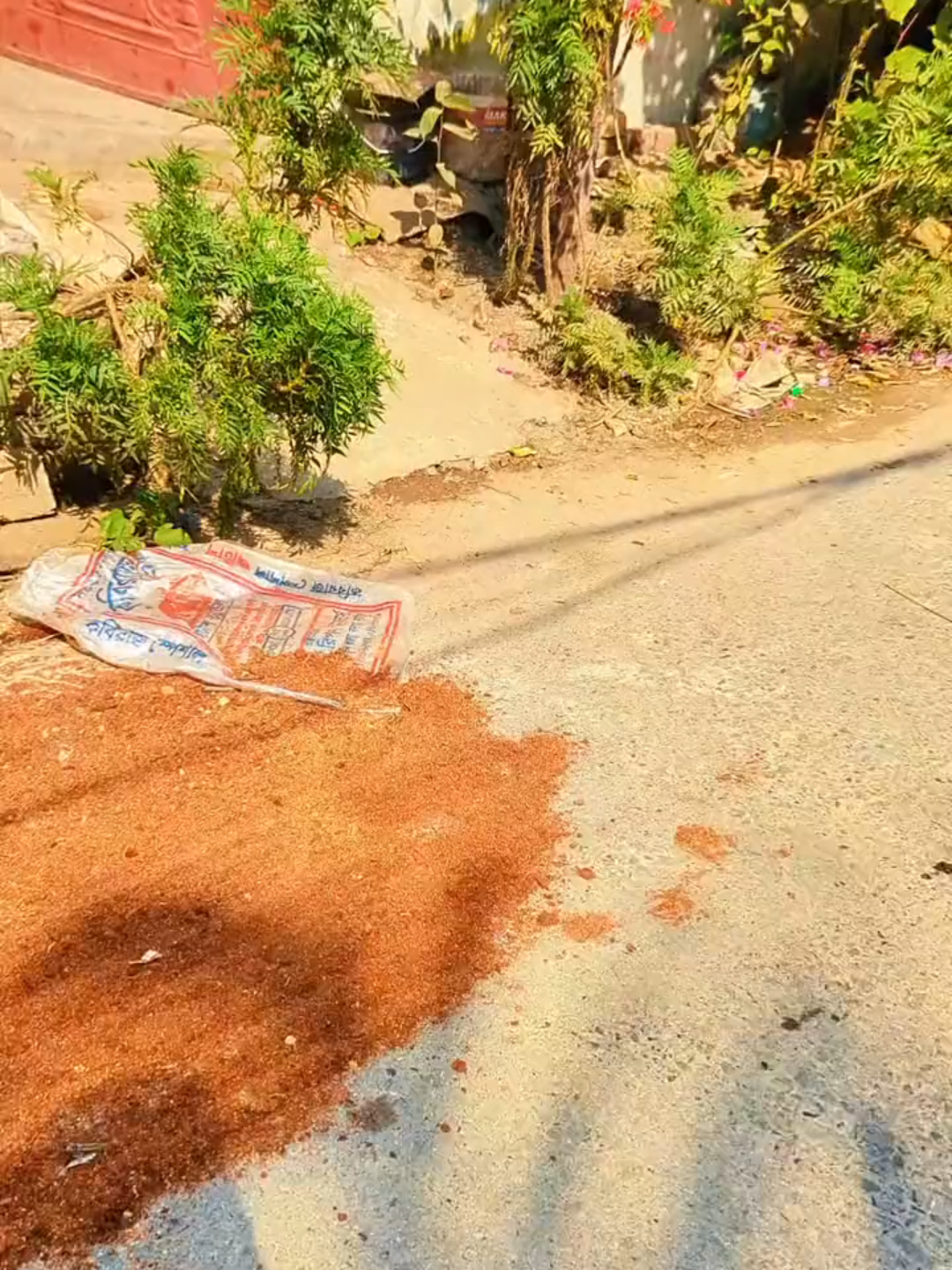 Pixel quality ✅#foryoupage #foryoupagе #vairalvideo #googlepixel #pixel #pixel6 #foryoupage #foryoupagе #vairalvideo #nesaralvideo #foryoupagе