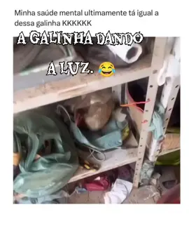 A galinha deu a luz 😁😁