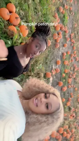 🍁🎃 #fypシ #xyzbca #fallcontent #halloween #pumpkinpatch 