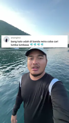 Kaya ga nyangka bisa liat lumba-lumba sebanyak itu🥹 #kitaulikyok 