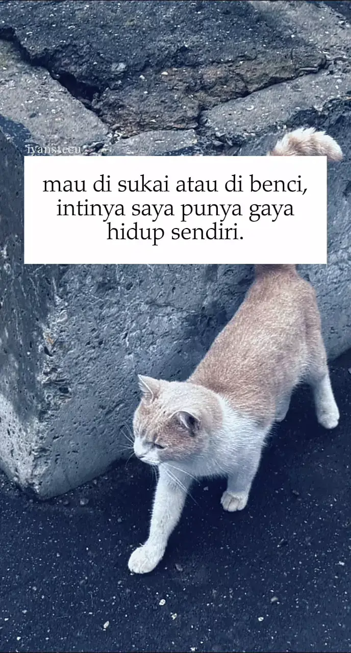 #fyp #iyanstecu #story 