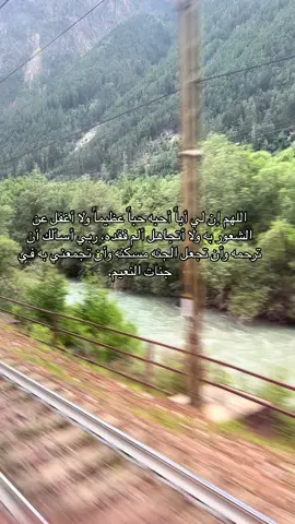 #صدقة_جارية #دعاء_للميت #اللهم_ارحم_ابي #ادعوا_لأبي #فقد_الأب #فقيدي 