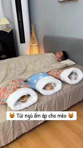 Túi ngủ ấm áp cho mèo #cat #mèo #tieubonday #tuinguchomeo #onguchomeo 