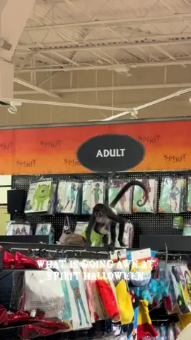 YALL THIS IS NOT AI 💔 what is spirit halloween even about 💔  #freethemonkey #spirithalloween #fypシ #whatisgoingon 