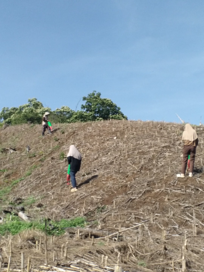 #paddare #anakpetani #petanimuda #fypviralシ #trend 