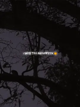 can’t wait!!  #halloween #autumn #moodboard #spookyseason #fyp 