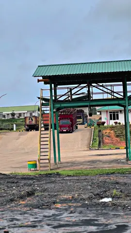 📸@Arifin andalann😍 #promomakangajian #fyp #sawitontiktok #stylejambi 