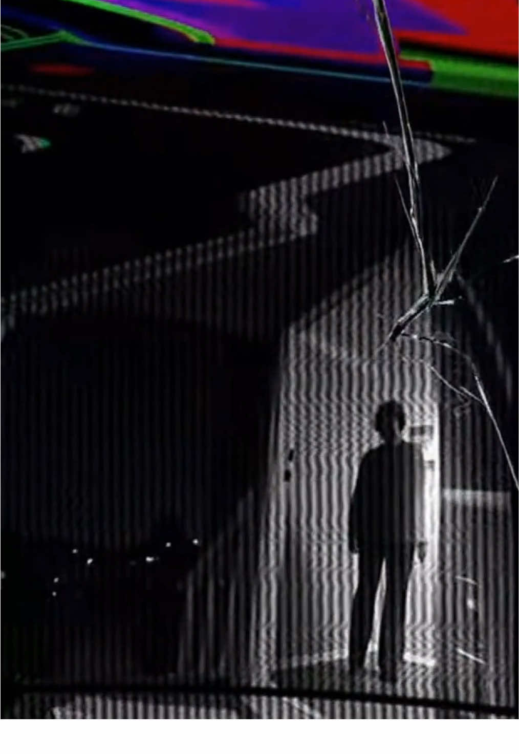 Kitten consumes dynamite on camera.. #unexpected #catlover #horrortok #sora #fypシ゚viral 