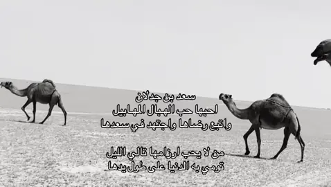 #اكسبلورexplore #سعد_بن_جدلان #explore #اكسبلور 