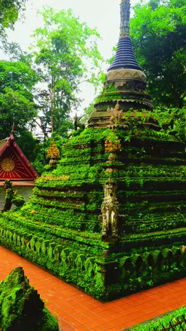 #เทรนด์วันนี้ #วัดผาลาดเชียงใหม่ #ที่เที่ยวเชียงใหม่ #ธรรมชาติ #เที่ยวไปเรื่อย 
