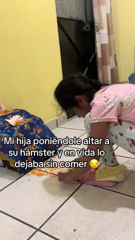 #mascotas#hamster#contenido #fyppppppppppppppppp