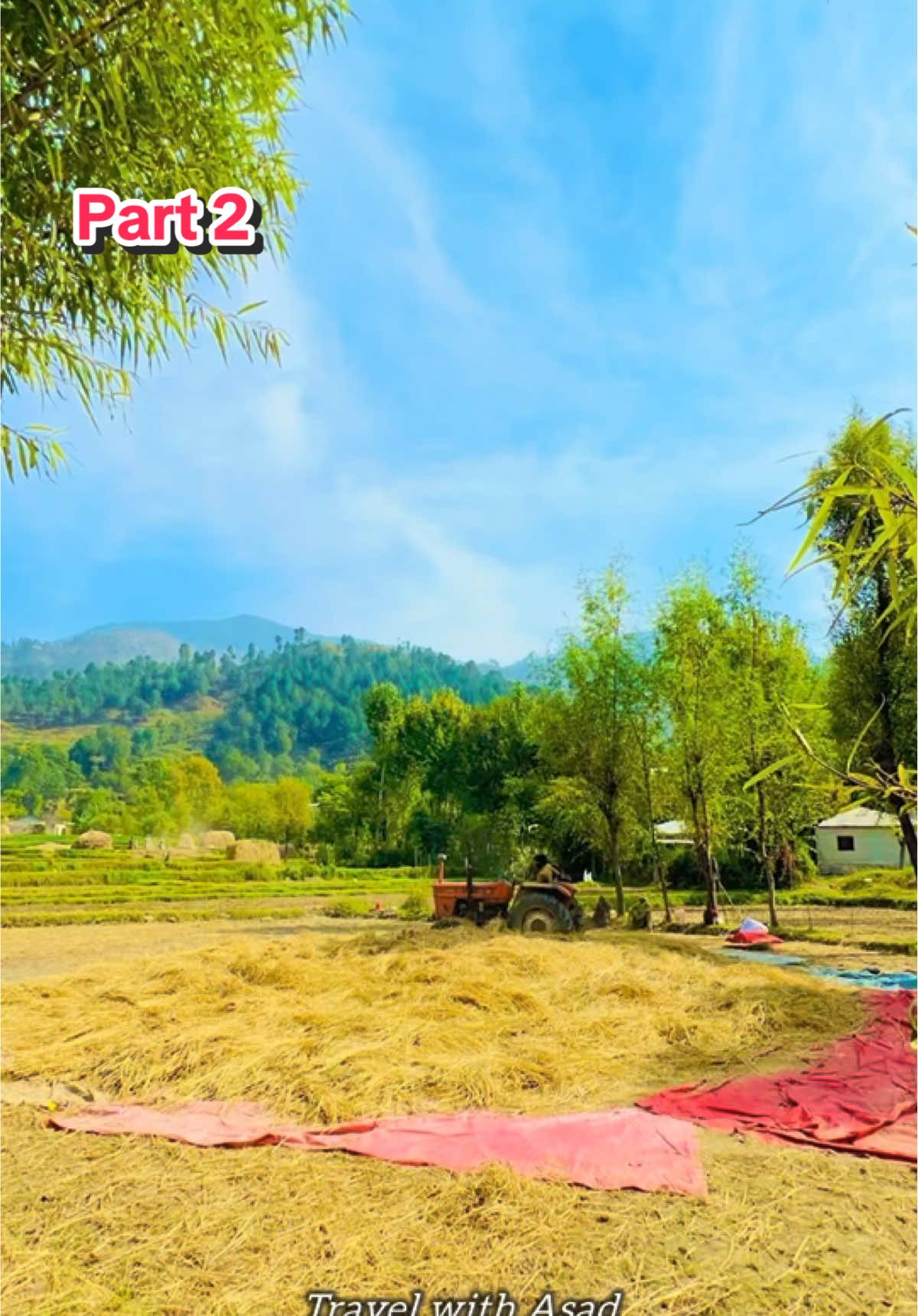 Part 2 Welcome to the breathtaking Siran Valley, a hidden paradise in Pakistan! 🌄 Today, we’re exploring its most famous traditional delight — local rice 🌾. These rice are not just a meal — they’re a symbol of culture, hospitality, and natural purity. Grown in the lush green fields of Siran Valley, these grains carry the taste of fresh mountain water and love of hardworking farmers ❤️. If you ever visit this valley, don’t forget to try this authentic and organic rice dish — you’ll fall in love with its aroma and flavor! 😋 #SiranValley #PakistanBeauty #TraditionalFood #OrganicRice #MountainLife #TravelPakistan #HiddenParadise #DesiFood #PakistaniCuisine #SiranRice #NatureVibes #FoodLovers #CulturalHeritage #ExplorePakistan